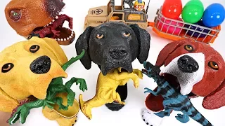 Dinosaurs are trying to take surprise egg! Crazy hungry dog and dinosaur summon! - DuDuPopTOY