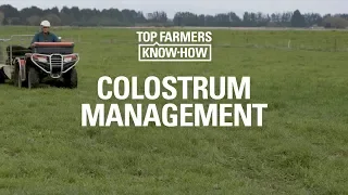 CALF-HEALTH SERIES: COLOSTRUM MANAGEMENT