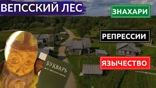 Вепсы. Колдуны вместо врачей. Запрещённый язык. Параллельный мир в 350км от Питера. Другой Петербург