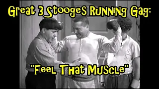 Great 3 Stooges Running Gag: "Feel That Muscle"
