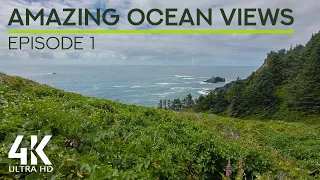 8 HRS Relaxing Ocean Waves Sounds & Gentle Tropical Birds Chirping - Amazing Ocean Views - Ep. #1