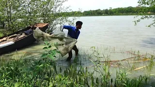 Cast Net Fishing at the River with beautiful natural | River Fishing by Daily Village Life (Part-34)