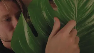 ASMR with The Big Green Leaf (No Talking, Layered, and Looped)