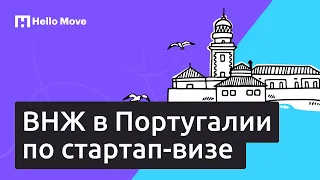 ВНЖ в Португалии по стартап-визе (startup visa Portugal)