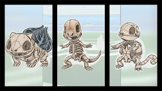 Skeletons of 151 Pokemons |Best Pokemon|