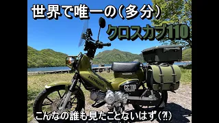 【クロスカブ110】なんだこれ？珍しい謎のクロスカブ110