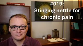 019 - Stinging nettle for chronic pain