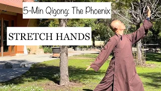 5-Minute Stretching HANDS| Qigong The Phoenix