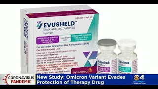 Omicron Variant Evades Protection Of Therapy Drug Evusheld