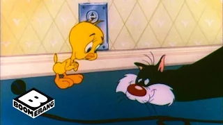 Looney Tunes Classic | Poor Puddytat | Boomerang Official