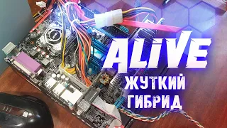 "Китайский Гибрид 775" - Alive #115