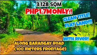 (PROPERTY#47) SMALL CUT FARM LOT FOR SALE, WITH RIVER, CLEAN TITLE AND ALONG BARANGAY ROAD!!!