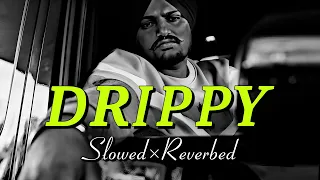 Drippy (Slowed + Reverb) Sidhu MooseWala | AR Paisley | Mxrci