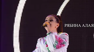 Гурт Viva Viktoria(Кавер) Рябина Алая