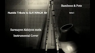 Surmayee Ankhiyon mein | Instrumental cover | Bamboo & Pots | Rakesh Sudhir & Srinidhi R Koundinya |