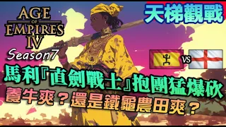 【世紀帝國4】馬利『直劍戰士』重裝兵惡夢！養牛與種田的經濟比拚，大後期誰能勝出｜馬利vs英格蘭｜天梯觀戰