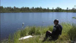 Самая УЛОВИСТАЯ снасть из БУТЫЛОК !!! Что же я раньше так не ловил🤔. Летняя рыбалка 2022 г