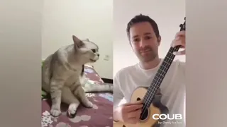 BEST COUB COMPILATION | Best coub | Coub Best | Best coub 2021 | Лучшие приколы 2021 | TikTok memes