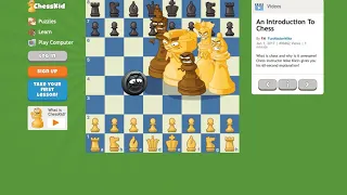 introduction to chess by https://www.chesskid.com/videos/rules-basics/an-introduction-to-chess