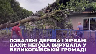 Негода наробила лиха у Великогаївській громаді