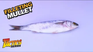 How To Fillet Mullet