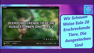 Wir Schauen Weise Eule 20 Erschreckende Tiere, Die Ausgestorben Sind