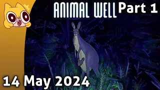 Animal Well Part 1 - 14 May 2024