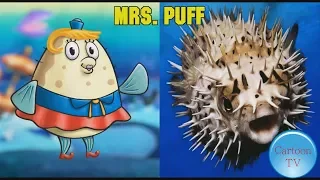 SpongeBob SquarePants In Real Life 2018 #2