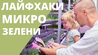 Ферма Микрозелени Умный запуск Зеленый Шеф школа курс микрозелень