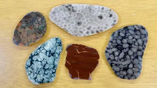 Slabbing Michigan Rocks - Rhyolite, Petoskey, Gowganda Tillite, Cladopora, and a Green Rock