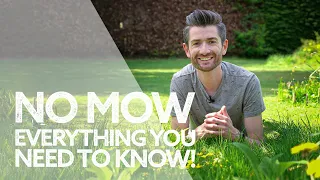 No Mow: Yes or No? | Everything You Need to Know! | No Mow May