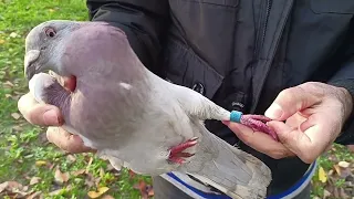 yeni şekeri posta yakaladım