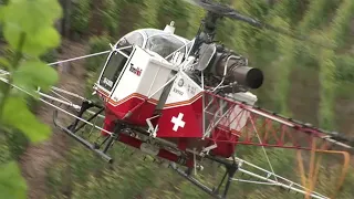 Vertical Lama, Vineyard spraying with the Lama of Air-Glacier 2008 (Switzerland)