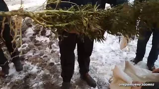 Поліцейські Харківщини вилучили у чоловіка близько чотирьох кілограмів наркотиків та патрони