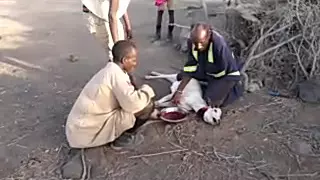 Turkana - Kenya people Drinking Blood of Goat