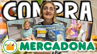 COMPRA SEMANAL: MERCADONA y CARREFOUR!! + EXPLICACIONES!! 🛒😱 | LorenaAndCia