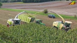 Großeinsatz Maishäckseln 2019 - Krone BigX 850, Claas Jaguar 970 farmer corn harvest Maisernte