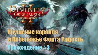 Прохождение Divinity: Original Sin 2 #3 ● Крушение корабля