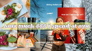 what i spend in a day as a college student in nyc