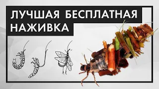 Наживка РУЧЕЙНИК (Шитик). Как найти и сохранить надолго