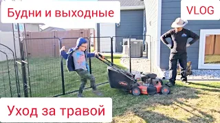 Уход за газоном. Работаем и отдыхаем. Семейные будни и выходные в США.