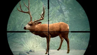 Hunting GIANT Desert Mule Deer in The Hunter Call Of The Wild