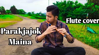 Parakjajok Maina Flute Cover