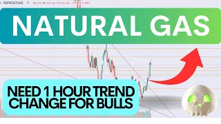 Natural Gas Stock Forecast | Detail Price Level Guide |