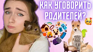 КАК УГОВОРИТЬ РОДИТЕЛЕЙ КУПИТЬ ПИТОМЦА? Кошку Собаку Крысу Хомяка / ЛАЙФХАКИ КАК УГОВОРИТЬ РОДИТЕЛЕЙ