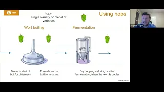 Hops of Different Terroir and Different Variety - WSET Level 1 in Beer - Napa Valley Wine Academy