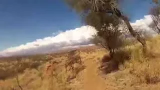 Mountain biking in Alice Springs....POV. - (3Rd Nutt Productions)