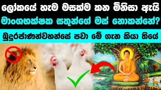 හේතුවක් තියෙනවා ! මේකට හේතුව ඇහුවොත් ඔයා පුදුම වෙයි | Why don’t we eat carnivores 🤔