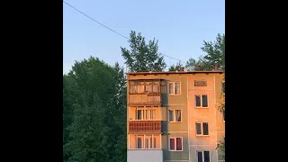 school rooftop with cicada sounds slowed reverb