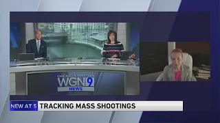 Northwestern professor Lori Post talks reasoning behind mass shootings with WGN